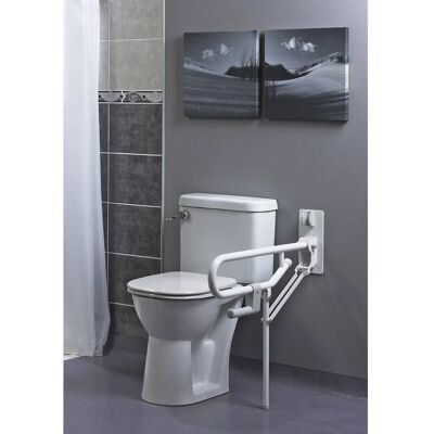 Identites Toilet Support Handle - Supports up to 200kg, with Toilet Paper Holder Identites Toilet Support Handle - Supports up to 200kg, with Toilet Paper Holder