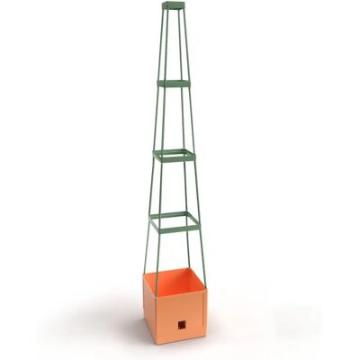 Bio Green Pflanzenstütze - Terrakotta - Maxitom Kletterhilfe Bio Green Pflanzenstütze - Terrakotta - Maxitom Kletterhilfe