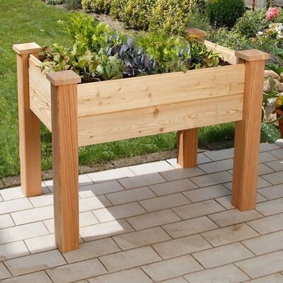 Bio Green BHB100 Lärkträ Freistehender Pflanzkübel - Pflanze Bio Green BHB100 Lärkträ Freistehender Pflanzkübel - Pflanze