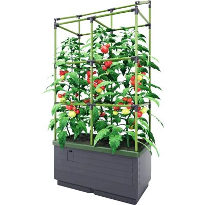 Contenitore per piante Bio Green City Jungle con graticciato Contenitore per piante Bio Green City Jungle con graticciato