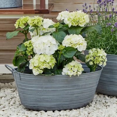 Ivyline Outdoor Matlock Oval Planter - Mid Grey - Outdoor Planter Ivyline Outdoor Matlock Oval Planter - Mid Grey - Outdoor Planter