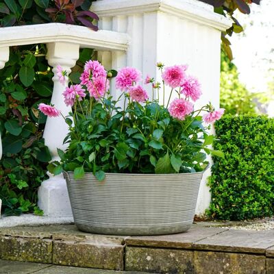 Ivyline Ivyline Matlock Oval Iron Planter - Frost Resistant - Planter Ivyline Ivyline Matlock Oval Iron Planter - Frost Resistant - Planter