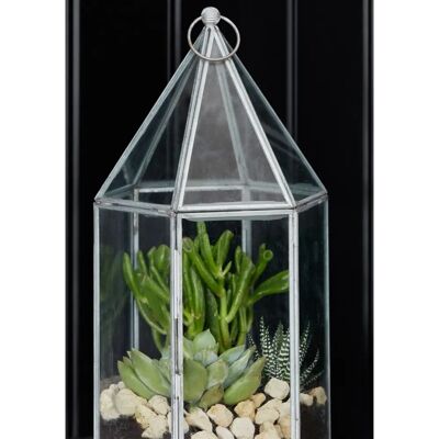 Ivyline - Glasshouse Terrarium - Silver - Terrarium Ivyline - Glasshouse Terrarium - Silver - Terrarium