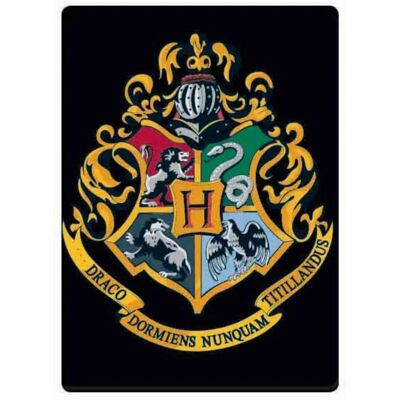 Calamita in metallo Harry Potter: Hogwarts - Stemma Calamita in metallo Harry Potter: Hogwarts - Stemma