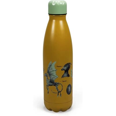 Harry Potter Water Bottle - Magical Creatures - 500ml - Metal Harry Potter Water Bottle - Magical Creatures - 500ml - Metal