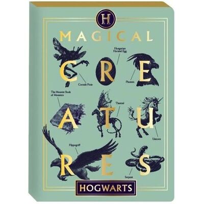 Carnet Créatures Magiques Harry Potter - Half Moon Bay A5 - Publicité Carnet Créatures Magiques Harry Potter - Half Moon Bay A5 - Publicité