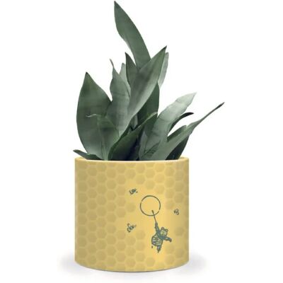 Disney Winnie the Pooh Honeycomb Plant Pot - Plant Pot Disney Winnie the Pooh Honeycomb Plant Pot - Plant Pot