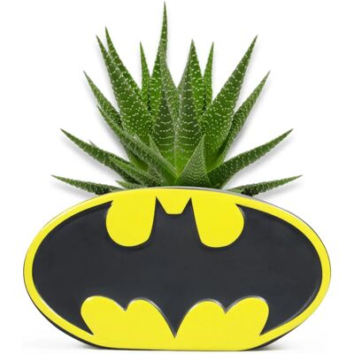 Pot à fleurs Batman Logo - Décoration intérieure - Publicité Pot à fleurs Batman Logo - Décoration intérieure - Publicité