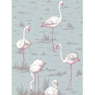 Cole & Son Flamingos - Flamingos - White-pink - Contemporary - wallpaper Cole & Son Flamingos - Flamingos - White-pink - Contemporary - wallpaper
