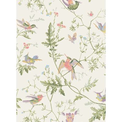 Cole & Son - Hummingbirds - Olivgrün auf Weiß - Soft Multi - Tapete Cole & Son - Hummingbirds - Olivgrün auf Weiß - Soft Multi - Tapete