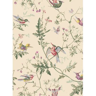 Cole & Son Hummingbirds Tapete - Original/ Multi - Wandbekleding Cole & Son Hummingbirds Tapete - Original/ Multi - Wandbekleding