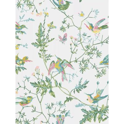 Cole & Son Kolibris Tapete - Florales, Handgemacht, 18. Jahrhundert Cole & Son Kolibris Tapete - Florales, Handgemacht, 18. Jahrhundert