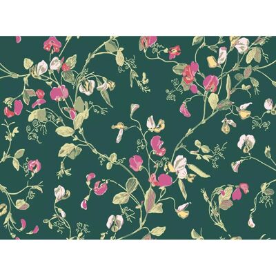 Cole & Son Sweet Pea Tapete - Florales Heritage-Design Cole & Son Sweet Pea Tapete - Florales Heritage-Design