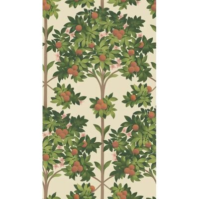 Cole & Son Orange Blossom Tapete - Zarte strukturierte Laubgestaltung - Hommage an Sevillas Obstbäume - Vier Farbvarianten Cole & Son Orange Blossom Tapete - Zarte strukturierte Laubgestaltung - Hommage an Sevillas Obstbäume - Vier Farbvarianten