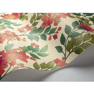 Tapete Bougainvillea von Cole & Son - Farbige Flora Tapete Bougainvillea von Cole & Son - Farbige Flora