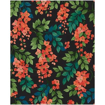 Cole & Son Bougainvillea Tapete - Blumenmuster Cole & Son Bougainvillea Tapete - Blumenmuster