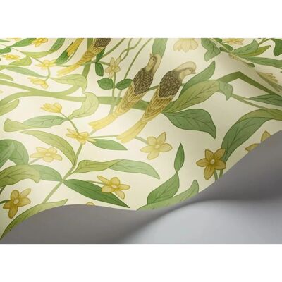 Cole & Son Jasmine & Serin Simphony von Cole & Son - Chartreuse Cole & Son Jasmine & Serin Simphony von Cole & Son - Chartreuse