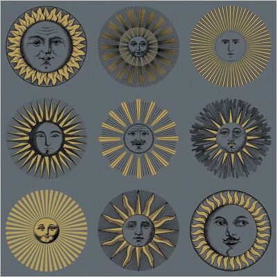 Cole & Son Tapete Soli - Midnight/ Soft Gold Cole & Son Tapete Soli - Midnight/ Soft Gold