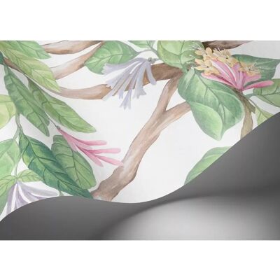 Cole & Son Hummingbirds Flora Tapete - Panoramisches Botanisches Design Cole & Son Hummingbirds Flora Tapete - Panoramisches Botanisches Design
