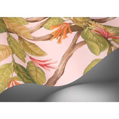 Cole & Son Kolibris Flora Tapete - Botanisches Blumenmuster Cole & Son Kolibris Flora Tapete - Botanisches Blumenmuster