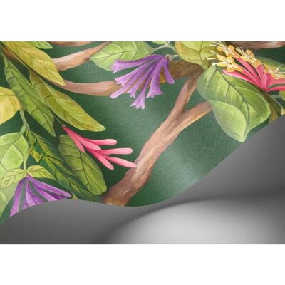 Cole & Son Hummingbirds Flora Tapete - Tapete Cole & Son Hummingbirds Flora Tapete - Tapete