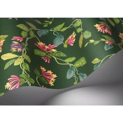 Cole & Son Flora Tapete - Fuchsia auf Racing Green - Tapete Cole & Son Flora Tapete - Fuchsia auf Racing Green - Tapete