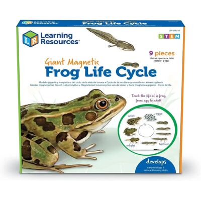 Learning Resources LSP6041-UK Jouet Scientifique pour Enfants - Cycle de Vie de la Grenouille Learning Resources LSP6041-UK Jouet Scientifique pour Enfants - Cycle de Vie de la Grenouille