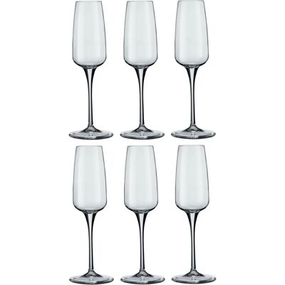 Bormioli Rocco Aurum Glass Champagne Flutes Set - 230ml - Pack of 6 Transparent Bormioli Rocco Aurum Glass Champagne Flutes Set - 230ml - Pack of 6 Transparent