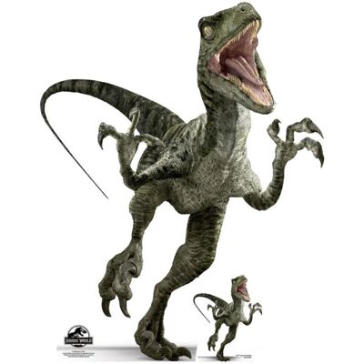 Star Cutouts - Jurassic World Velociraptor Charlie - 129 cm tall - Publicité Star Cutouts - Jurassic World Velociraptor Charlie - 129 cm tall - Publicité
