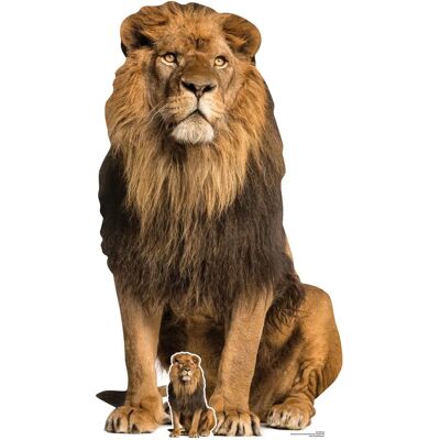 Iconicgreats Lion Big Cat Lifesize - Animal Wildlife Iconicgreats Lion Big Cat Lifesize - Animal Wildlife