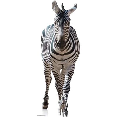 Iconicgreats - Zebra Lifesize Cardboard Cutout Iconicgreats - Zebra Lifesize Cardboard Cutout