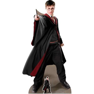 Star Cutouts Harry Potter Expecto Patronum Figurine Décorative 1,7m Noir - Figure Décorative - Publicité Star Cutouts Harry Potter Expecto Patronum Figurine Décorative 1,7m Noir - Figure Décorative - Publicité