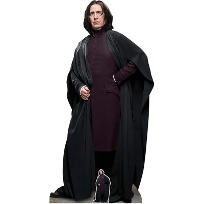 AUCUNE Harry Potter Snape Cardboard Cutout - 190cm - Cardboard Cutout AUCUNE Harry Potter Snape Cardboard Cutout - 190cm - Cardboard Cutout