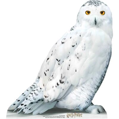 Star Cutouts - Hedwig - Blanc - 74 cm - standee en carton - Publicité Star Cutouts - Hedwig - Blanc - 74 cm - standee en carton - Publicité