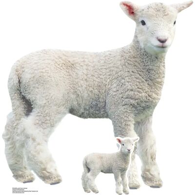 Iconicgreats - Lamb Lifesize - 74cm - 72cm - Cardboard cutout Iconicgreats - Lamb Lifesize - 74cm - 72cm - Cardboard cutout