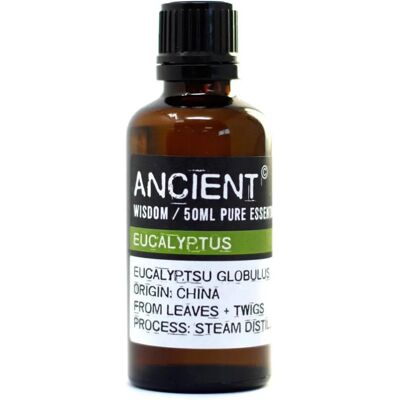 Olejek eukaliptusowy Globulus - 50ml - Ancient Wisdom Olejek eukaliptusowy Globulus - 50ml - Ancient Wisdom