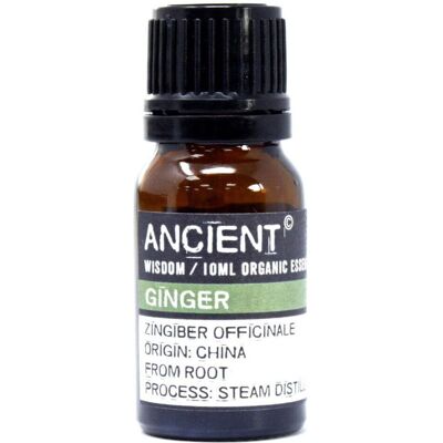 Ancient Wisdom Organic Ginger Essential Oil - Digestive & Nausea Relief Ancient Wisdom Organic Ginger Essential Oil - Digestive & Nausea Relief