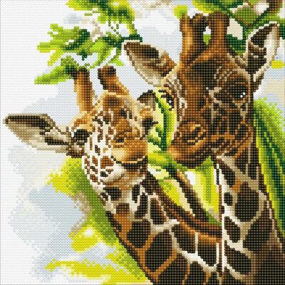 Craft Buddy Przyjazne Żyrafy - Zestaw Sztuki z Kryształów - 30x30 cm Craft Buddy Przyjazne Żyrafy - Zestaw Sztuki z Kryształów - 30x30 cm