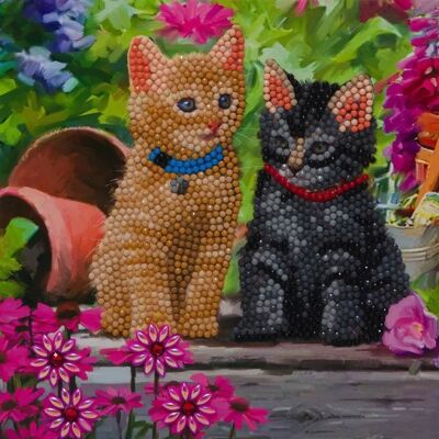 Kit de carte de peinture diamant Crystal Art - Chat - 6 x 7' (18 x 18 cm) Multicolore - Kit de carte de vœux - Publicité Kit de carte de peinture diamant Crystal Art - Chat - 6 x 7' (18 x 18 cm) Multicolore - Kit de carte de vœux - Publicité