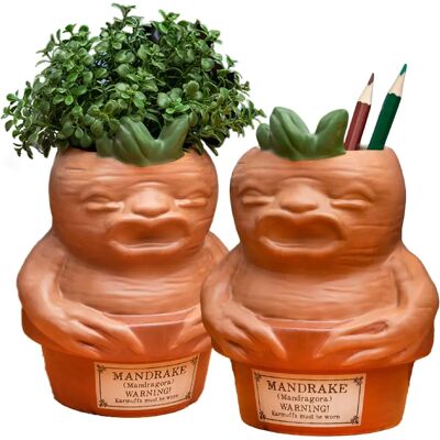 Harry Potter Mandrake Növény és tolltartó - Dekoráció Uniszex Kerámia Harry Potter Mandrake Növény és tolltartó - Dekoráció Uniszex Kerámia