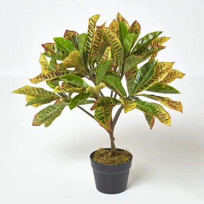 Homescapes Green Rushfoil Artificial Croton Plant - 65cm - Indoor Decor Homescapes Green Rushfoil Artificial Croton Plant - 65cm - Indoor Decor