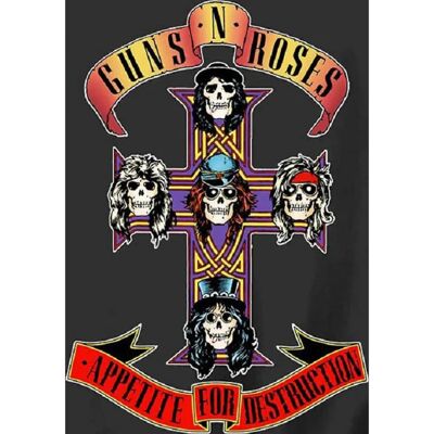 Barnens sweatshirt Guns N' Roses - Appetite For Destruction - Sweatshirt Barnens sweatshirt Guns N' Roses - Appetite For Destruction - Sweatshirt