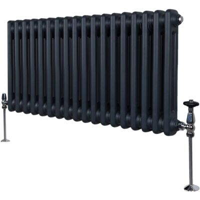 Radiador de 2 columnas en gris antracita - MonsterShop 300 x 832mm Radiador de 2 columnas en gris antracita - MonsterShop 300 x 832mm