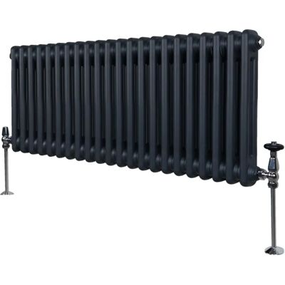 Radiador de 2 columnas en gris antracita - 300 x 1012mm - MonsterShop Radiador de 2 columnas en gris antracita - 300 x 1012mm - MonsterShop