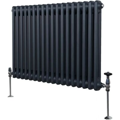 Radiateur à 2 colonnes gris anthracite - 600 x 832mm - Publicité Radiateur à 2 colonnes gris anthracite - 600 x 832mm - Publicité