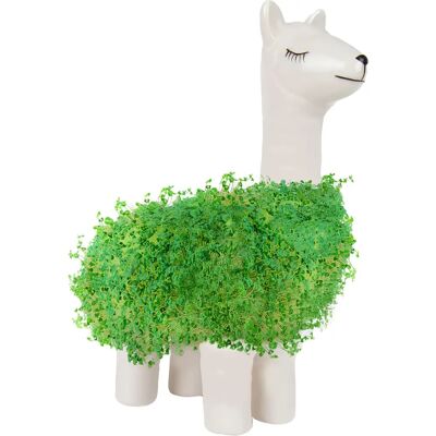 Pot à Lama Gift Republic avec Graines - Idéal Jardinage - Publicité Pot à Lama Gift Republic avec Graines - Idéal Jardinage - Publicité
