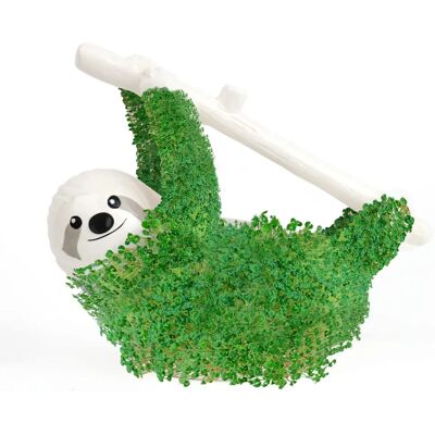 Gift Republic Sloth Planter Grow Kit - Indoor Plant Gift Gift Republic Sloth Planter Grow Kit - Indoor Plant Gift