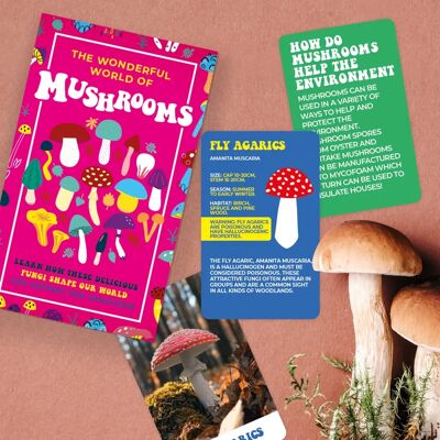 Gift Republic Le Monde Merveilleux des Champignons - Cartes - Publicité Gift Republic Le Monde Merveilleux des Champignons - Cartes - Publicité