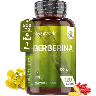 WeightWorld Berberina 500 mg Cápsulas - Apoia Coração & Açúcar no Sangue WeightWorld Berberina 500 mg Cápsulas - Apoia Coração & Açúcar no Sangue