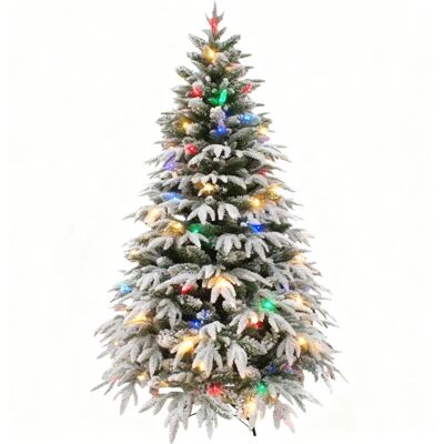 SHATCHI - Lapland Fir - 8Ft - Christmas Tree SHATCHI - Lapland Fir - 8Ft - Christmas Tree